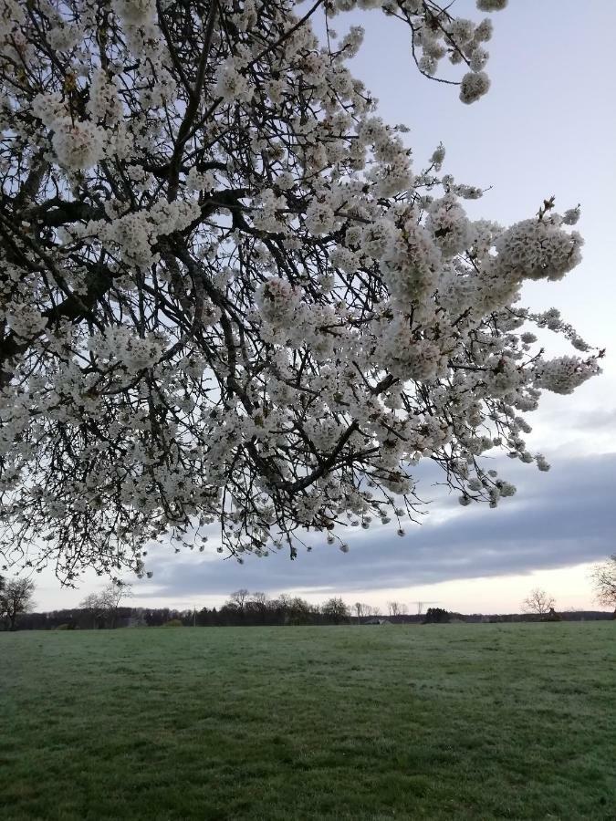 Gite Rural Les Maires D'Avaux Saint-Bresson Dış mekan fotoğraf